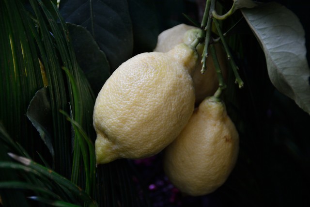 20150326 - Rome - 237